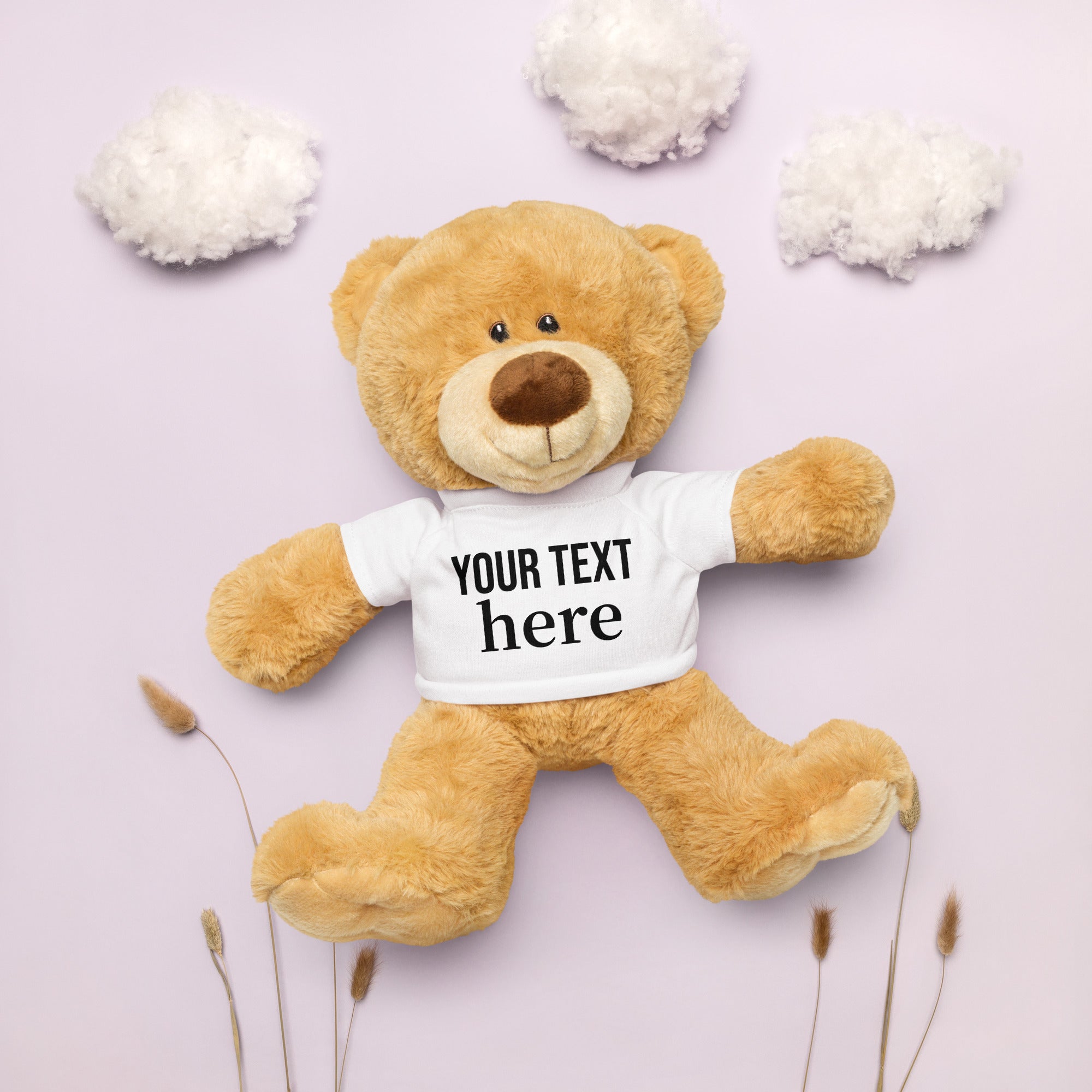 Customize Teddy bear with a t-shirt