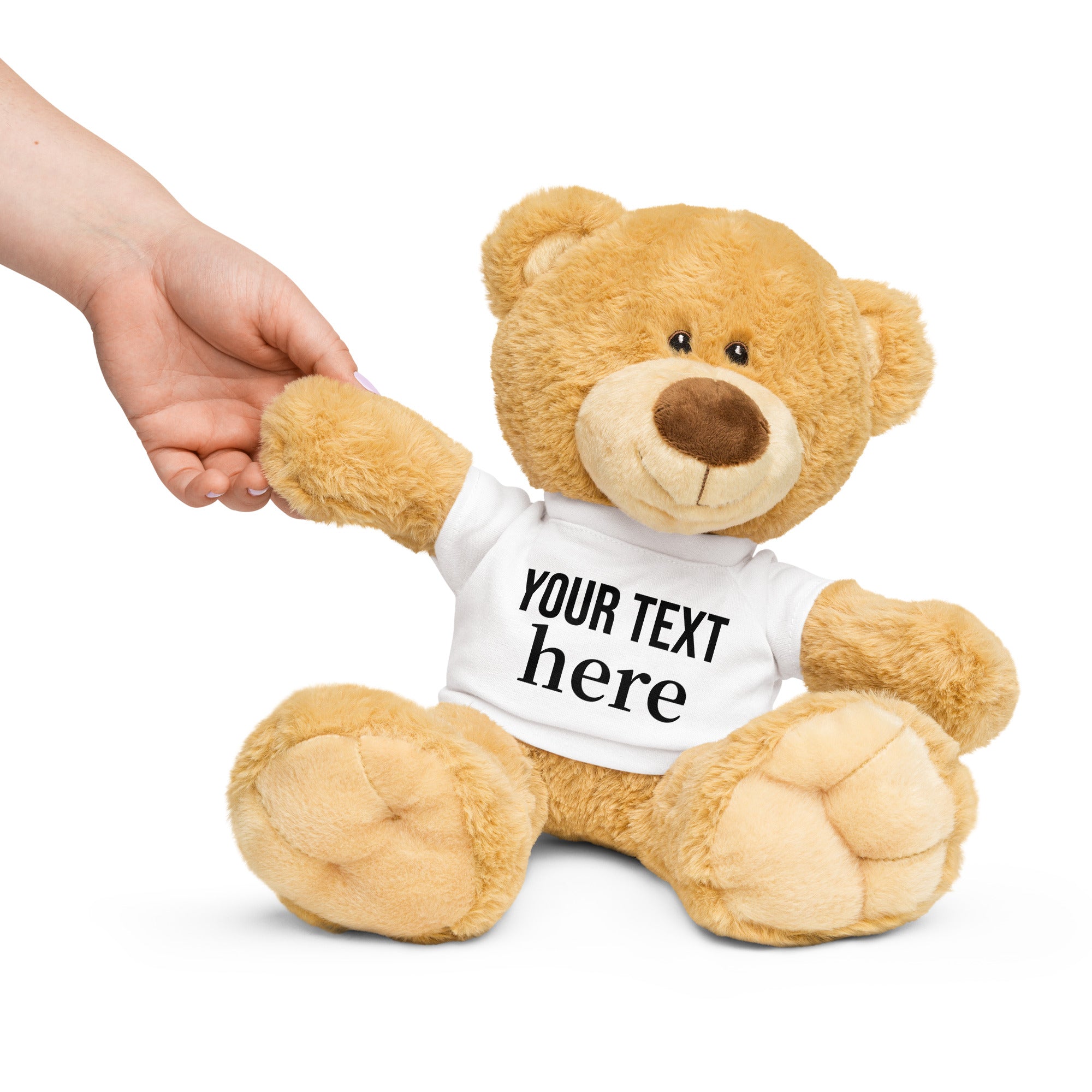 Customize Teddy bear with a t-shirt