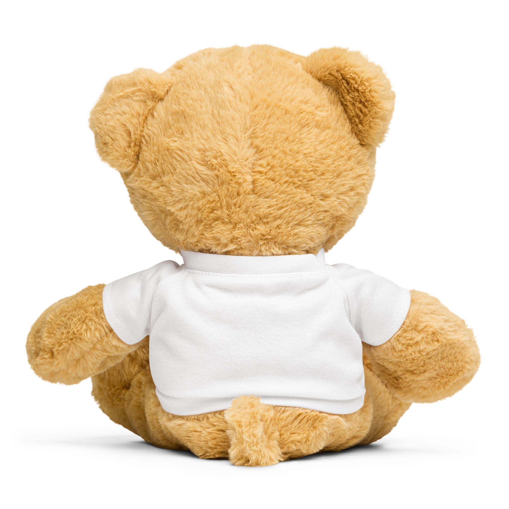 Customize Teddy bear with a t-shirt