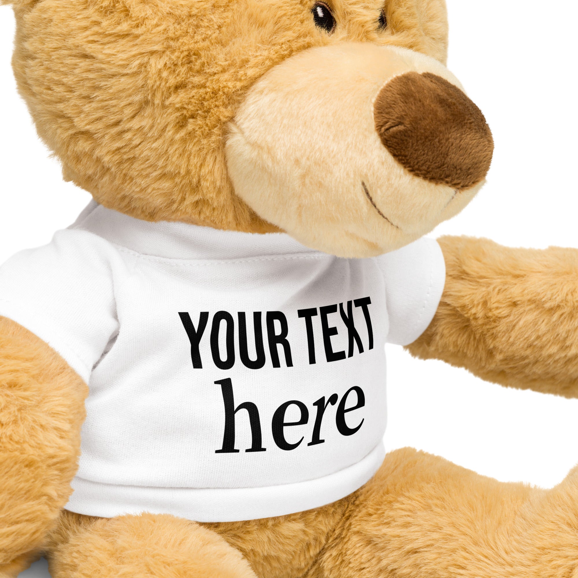 Customize Teddy bear with a t-shirt